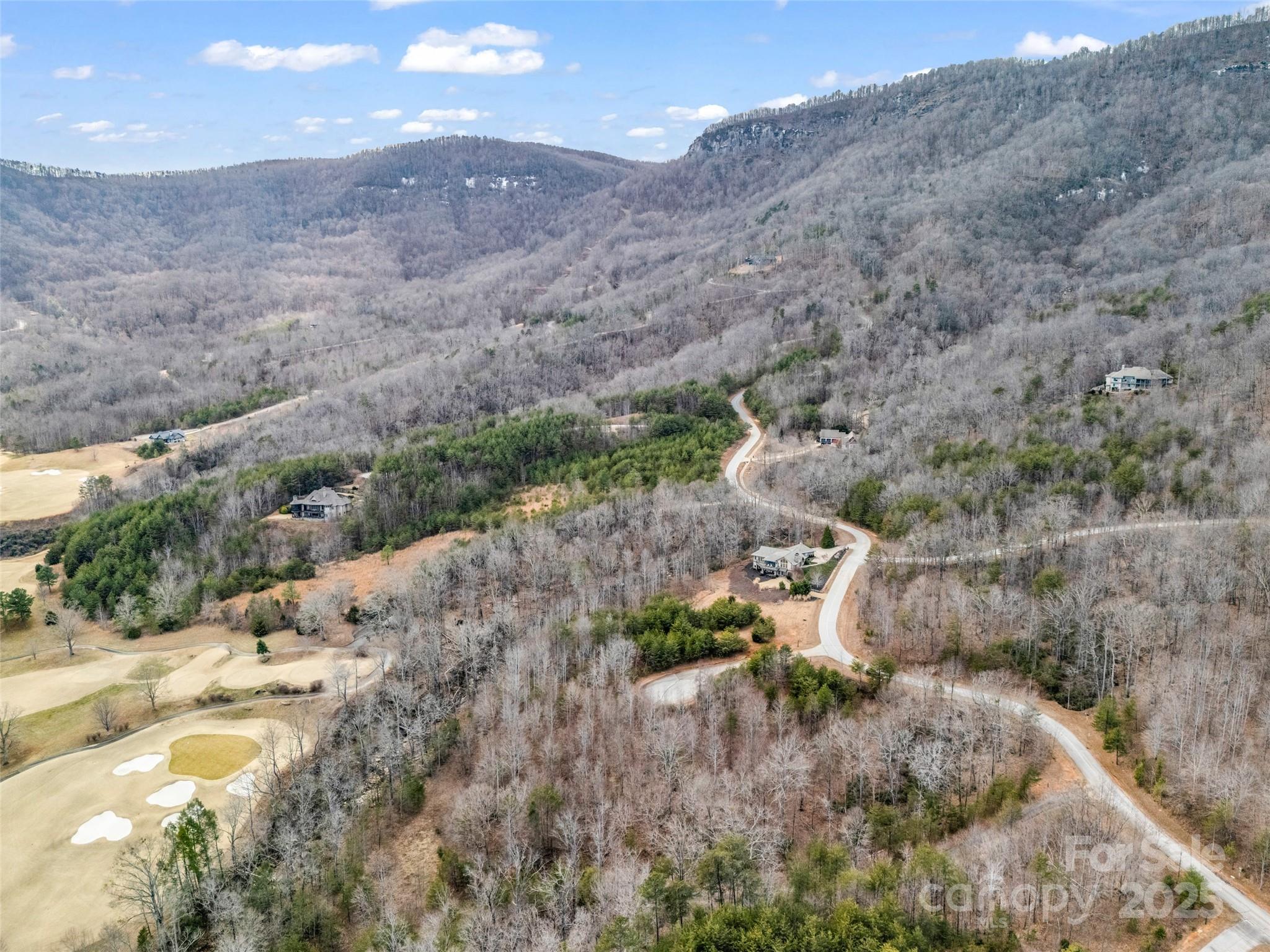 146 Wee Burn Cove Mill Spring, NC 28756 - Photo 11 of 29 a view of a yard with a mountain
