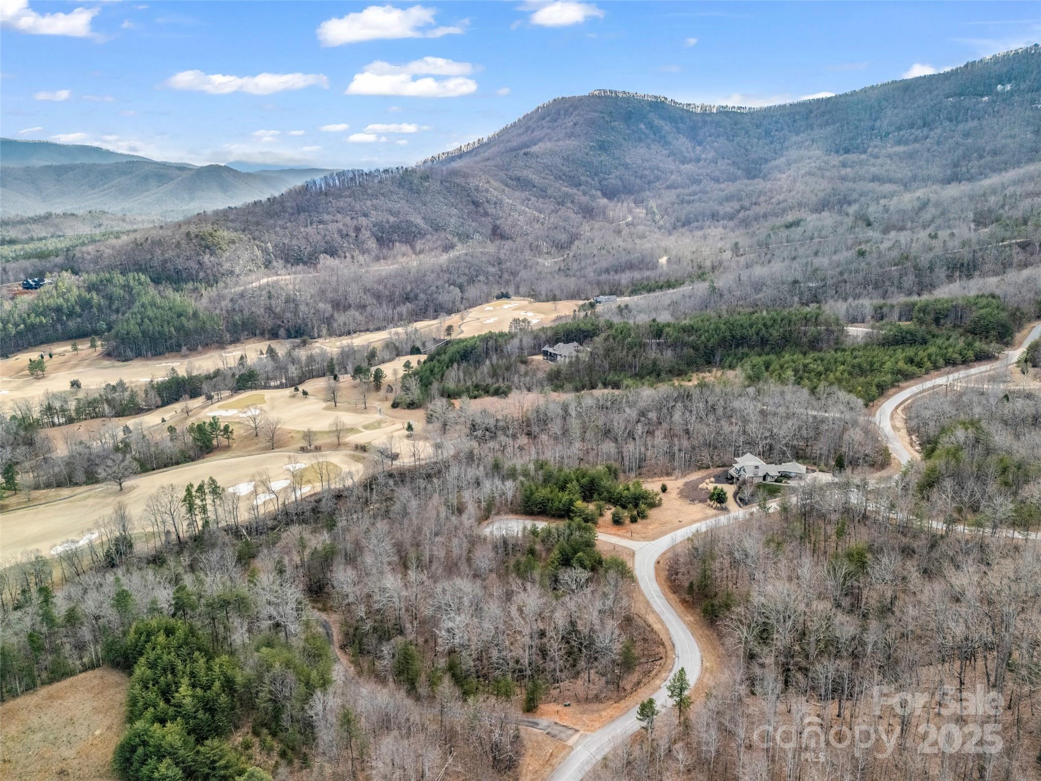 146 Wee Burn Cove Mill Spring, NC 28756 - Photo 12 of 29 a view of a dry yard with mountains