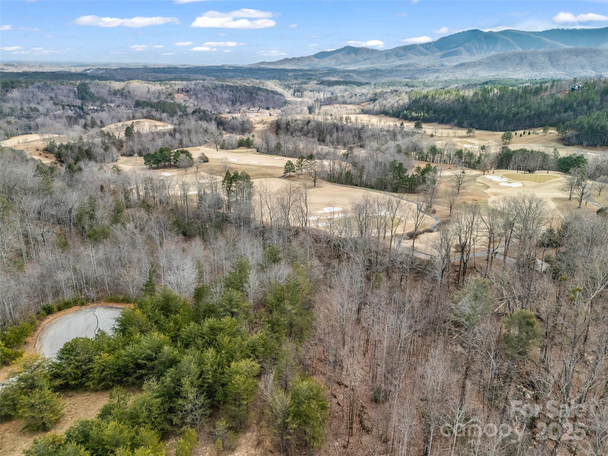 146 Wee Burn Cove Mill Spring, NC 28756 - Photo 14 of 29 a view of lake with mountain