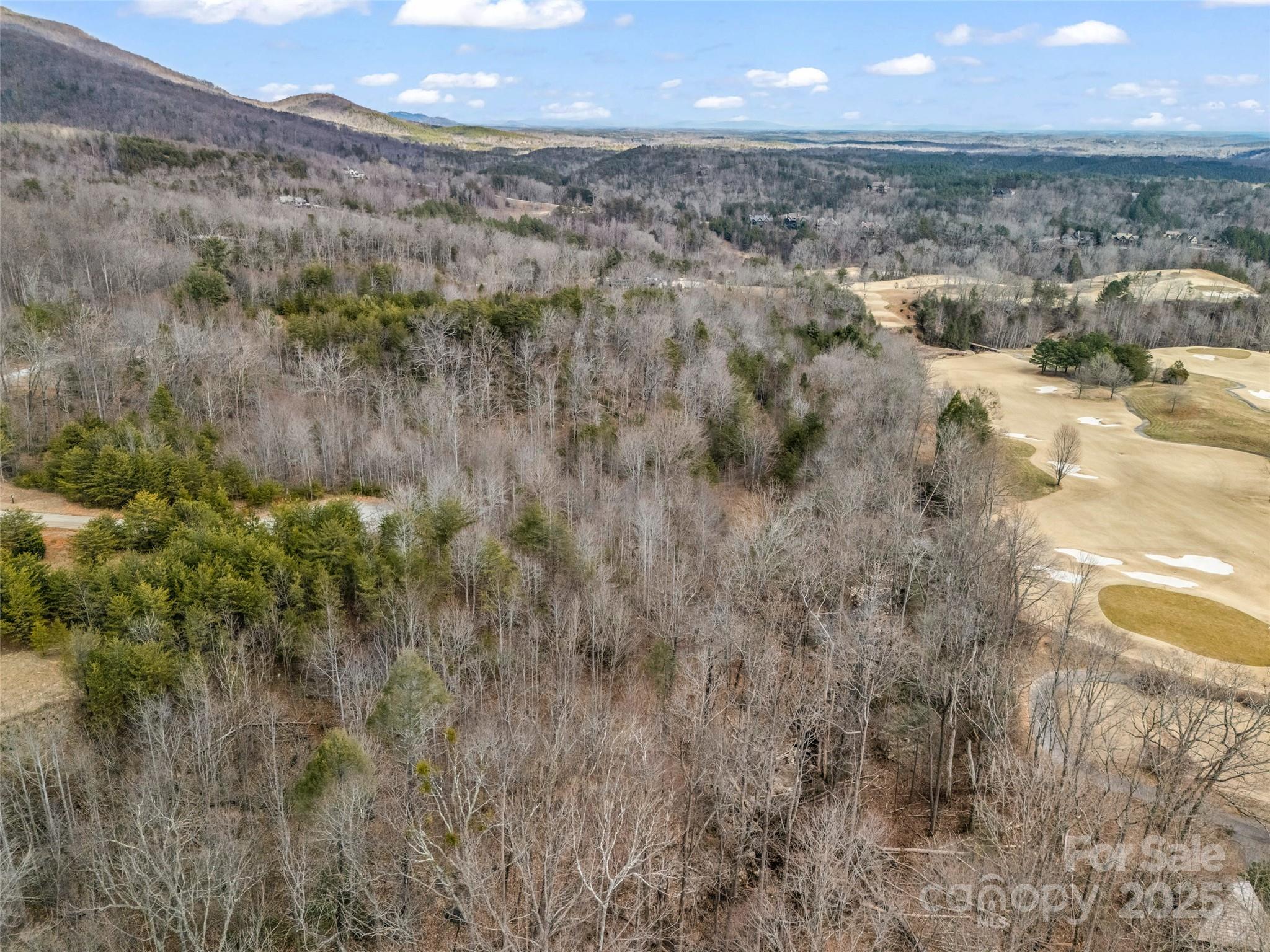 146 Wee Burn Cove Mill Spring, NC 28756 - Photo 15 of 29 a view of a city