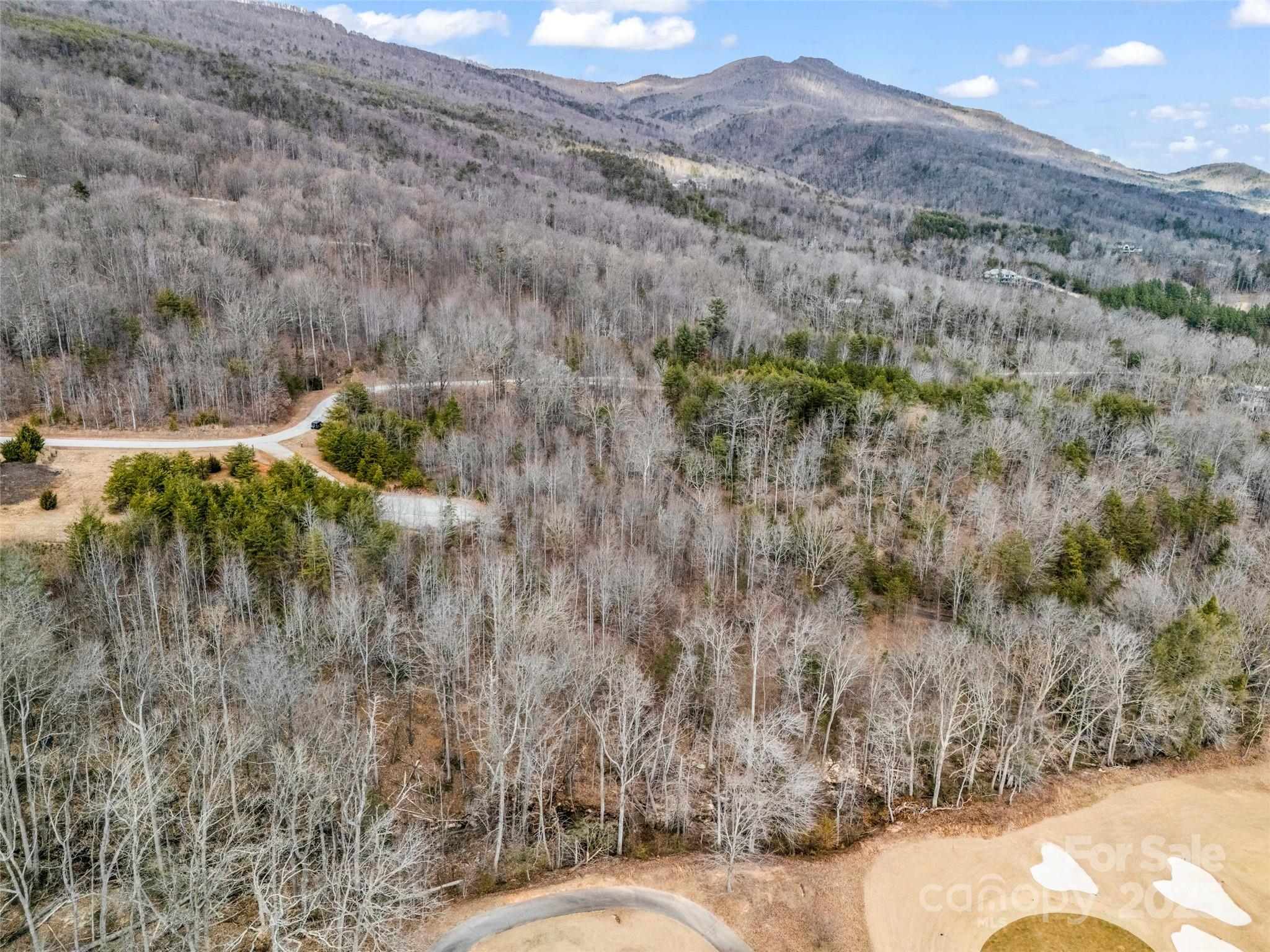146 Wee Burn Cove Mill Spring, NC 28756 - Photo 17 of 29 a view of a backyard of the house