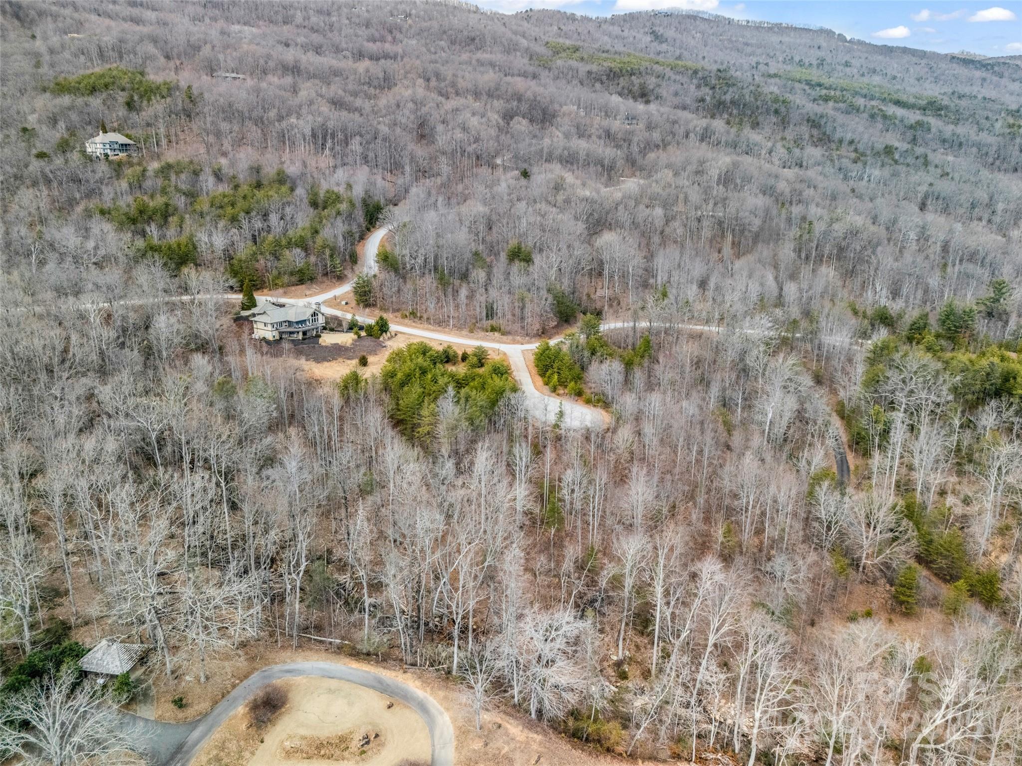 146 Wee Burn Cove Mill Spring, NC 28756 - Photo 18 of 29 a view of a dry yard with a sink