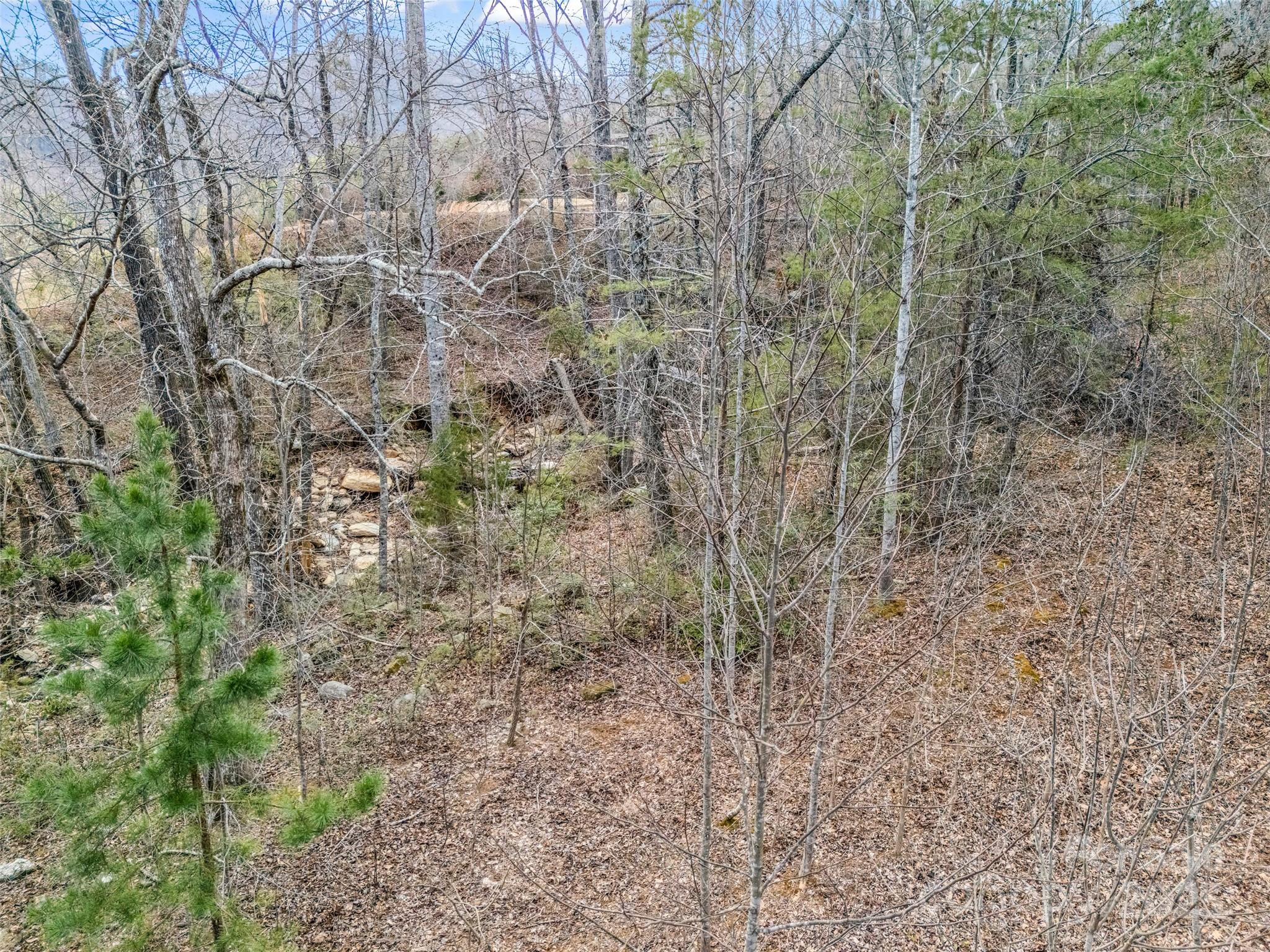 146 Wee Burn Cove Mill Spring, NC 28756 - Photo 20 of 29 a close up of a plant in a yard