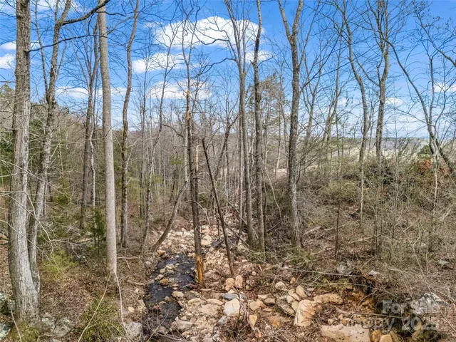 a view of lake with mountain