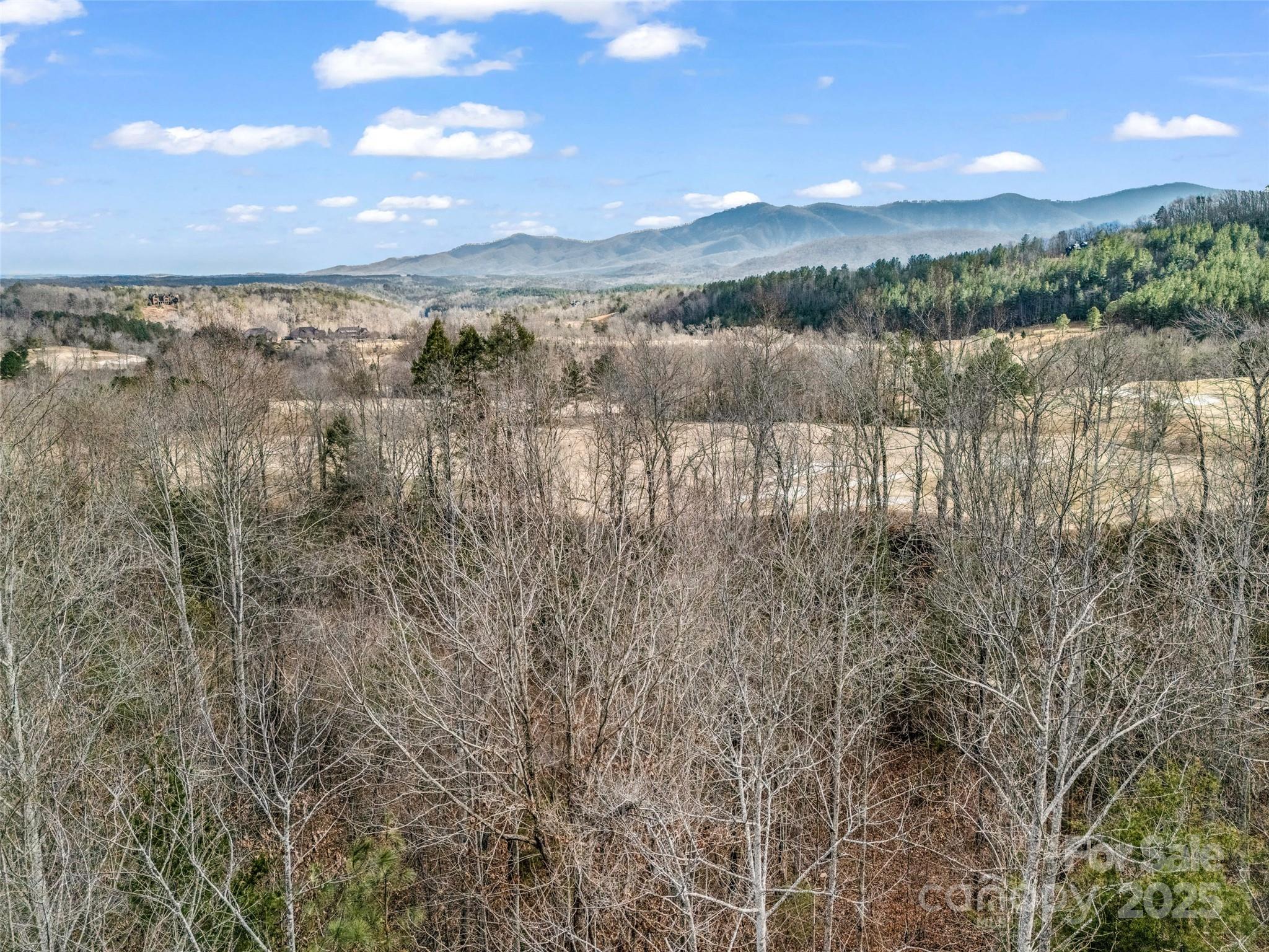 146 Wee Burn Cove Mill Spring, NC 28756 - Photo 26 of 29 a view of lake with mountain
