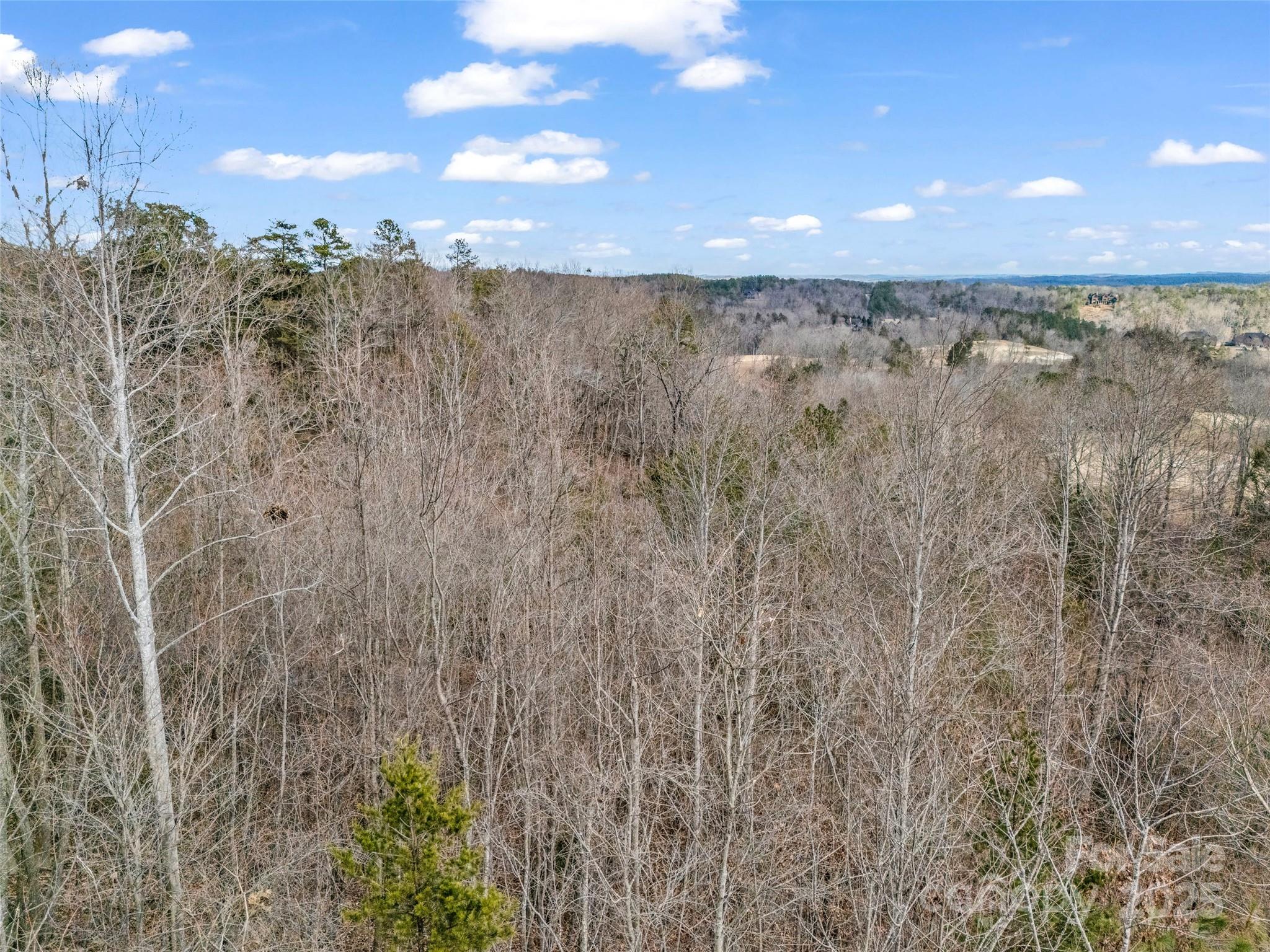 146 Wee Burn Cove Mill Spring, NC 28756 - Photo 27 of 29