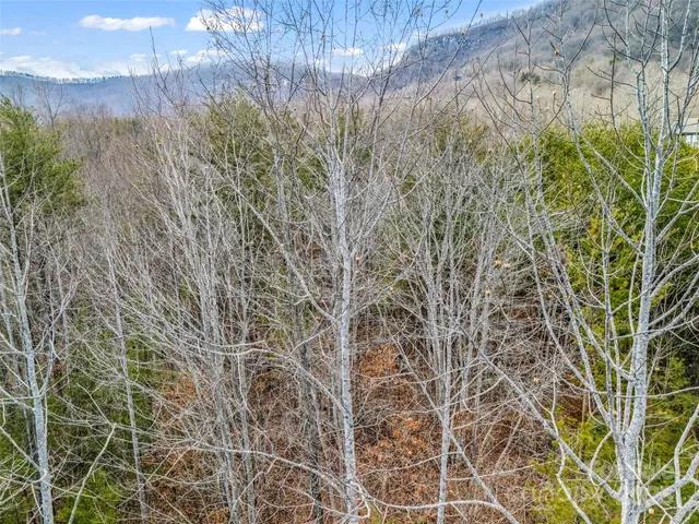 $70,000 | 146 Wee Burn Cove, Mill Spring, NC 28756