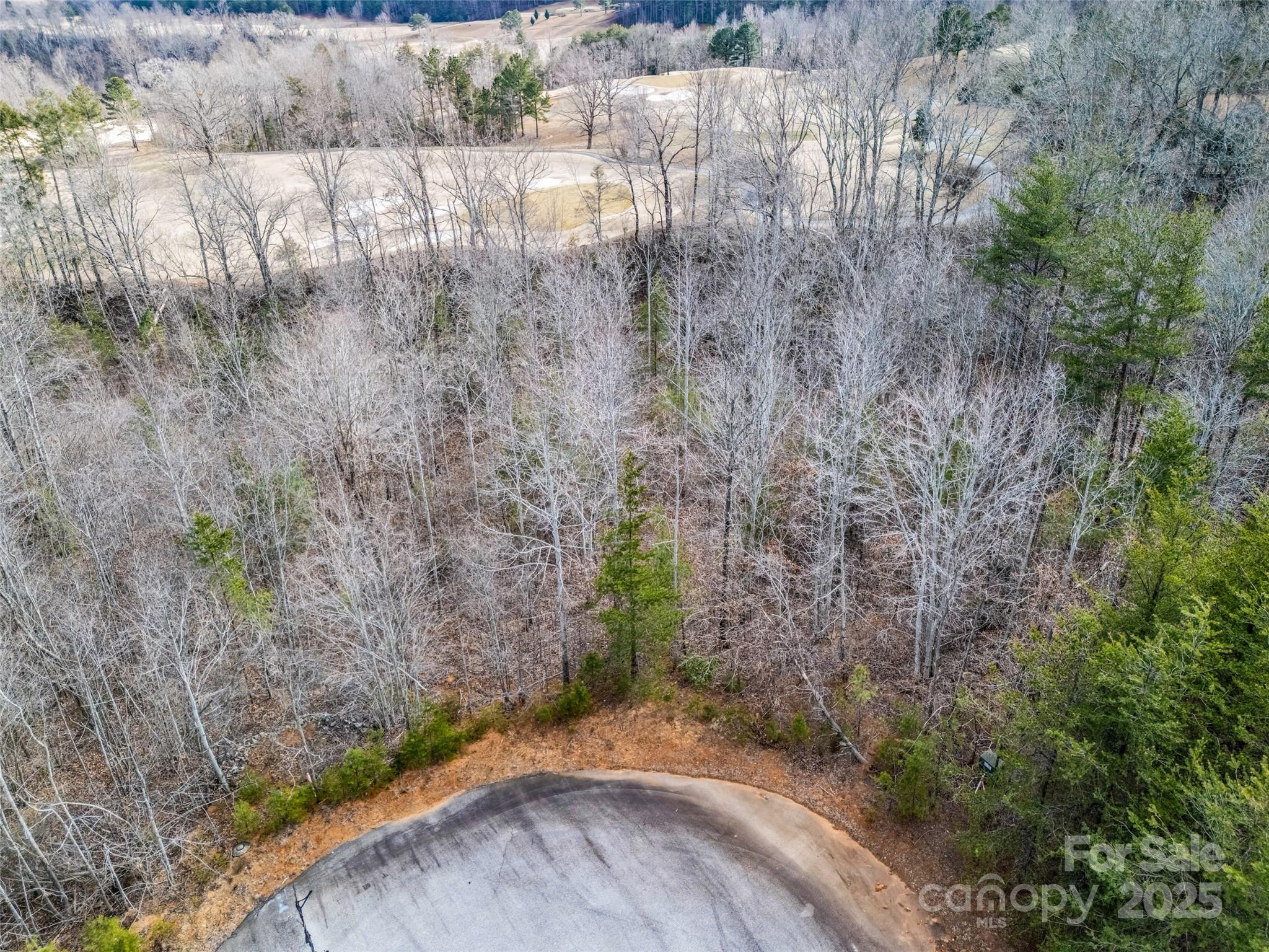 146 Wee Burn Cove Mill Spring, NC 28756 - Photo 29 of 29 a view of a yard