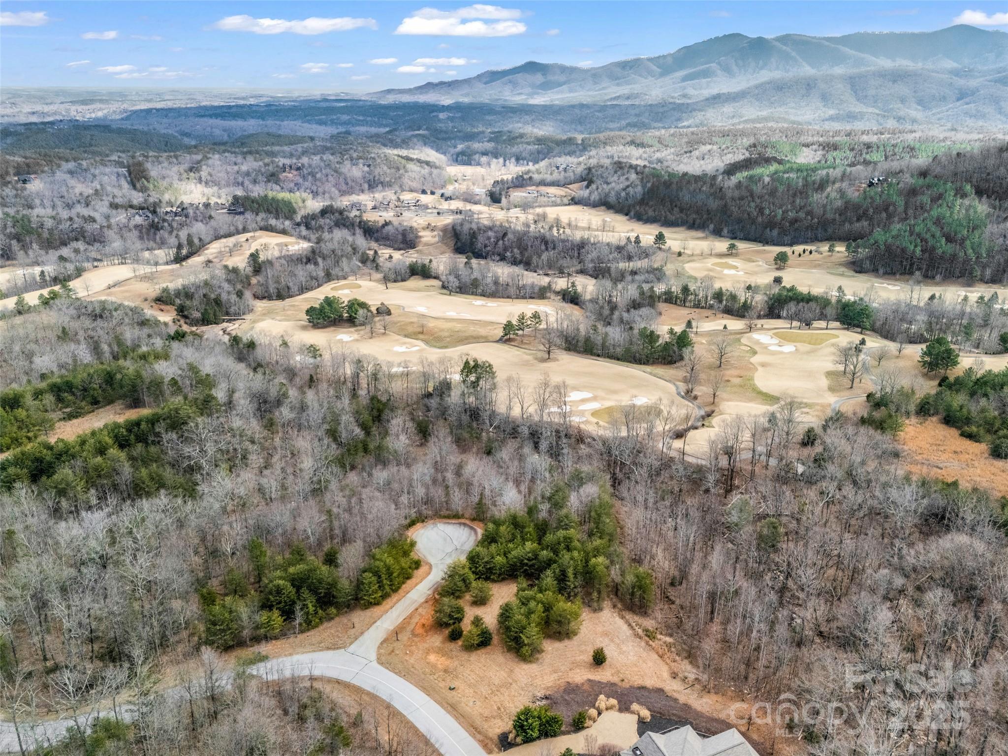 146 Wee Burn Cove Mill Spring, NC 28756 - Photo 6 of 29 a view of outdoor space and mountain view