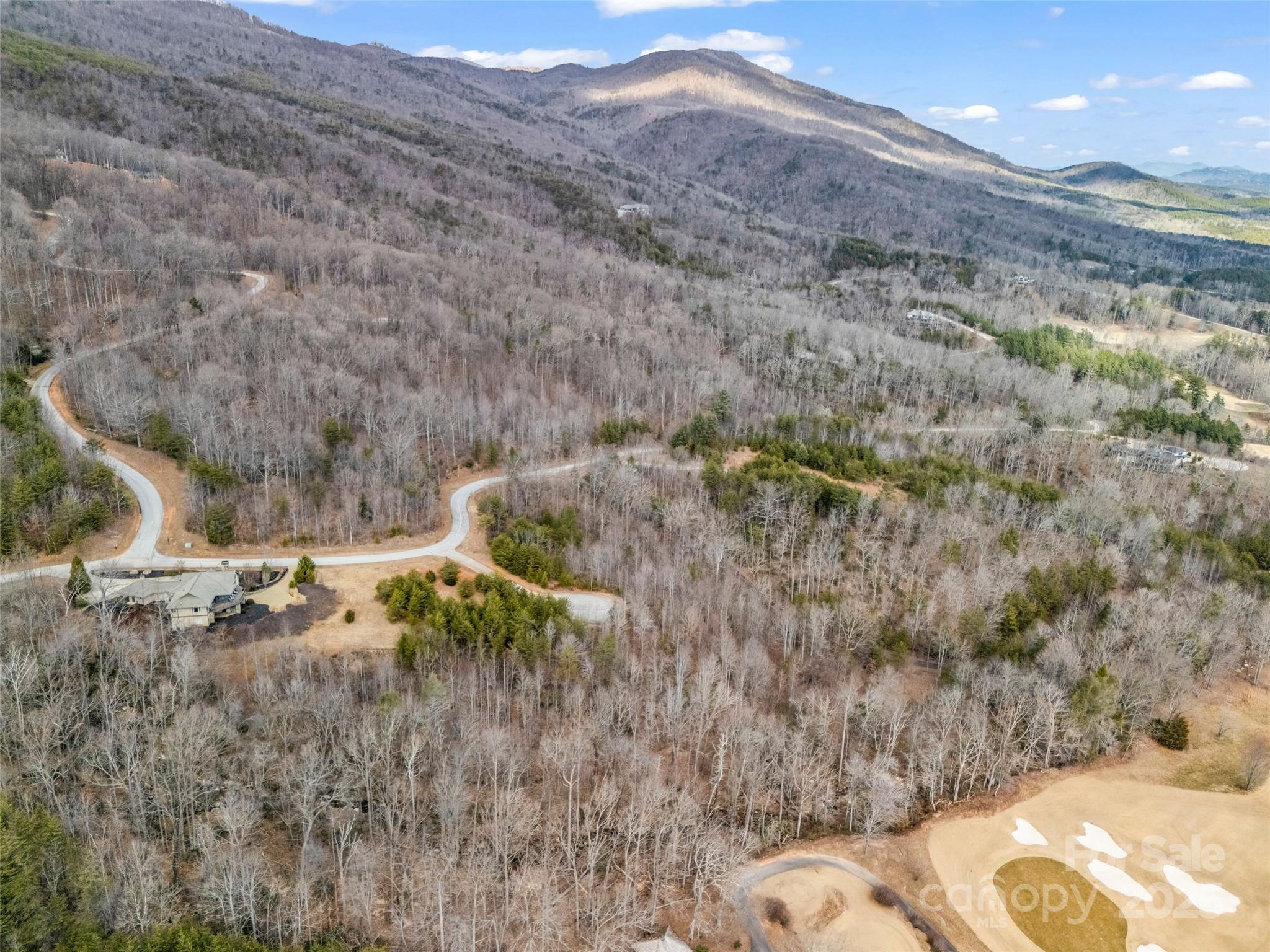 146 Wee Burn Cove Mill Spring, NC 28756 - Photo 8 of 29 a view of a backyard of the house