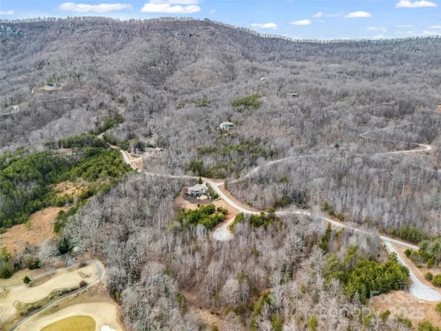 a view of a yard with a mountain