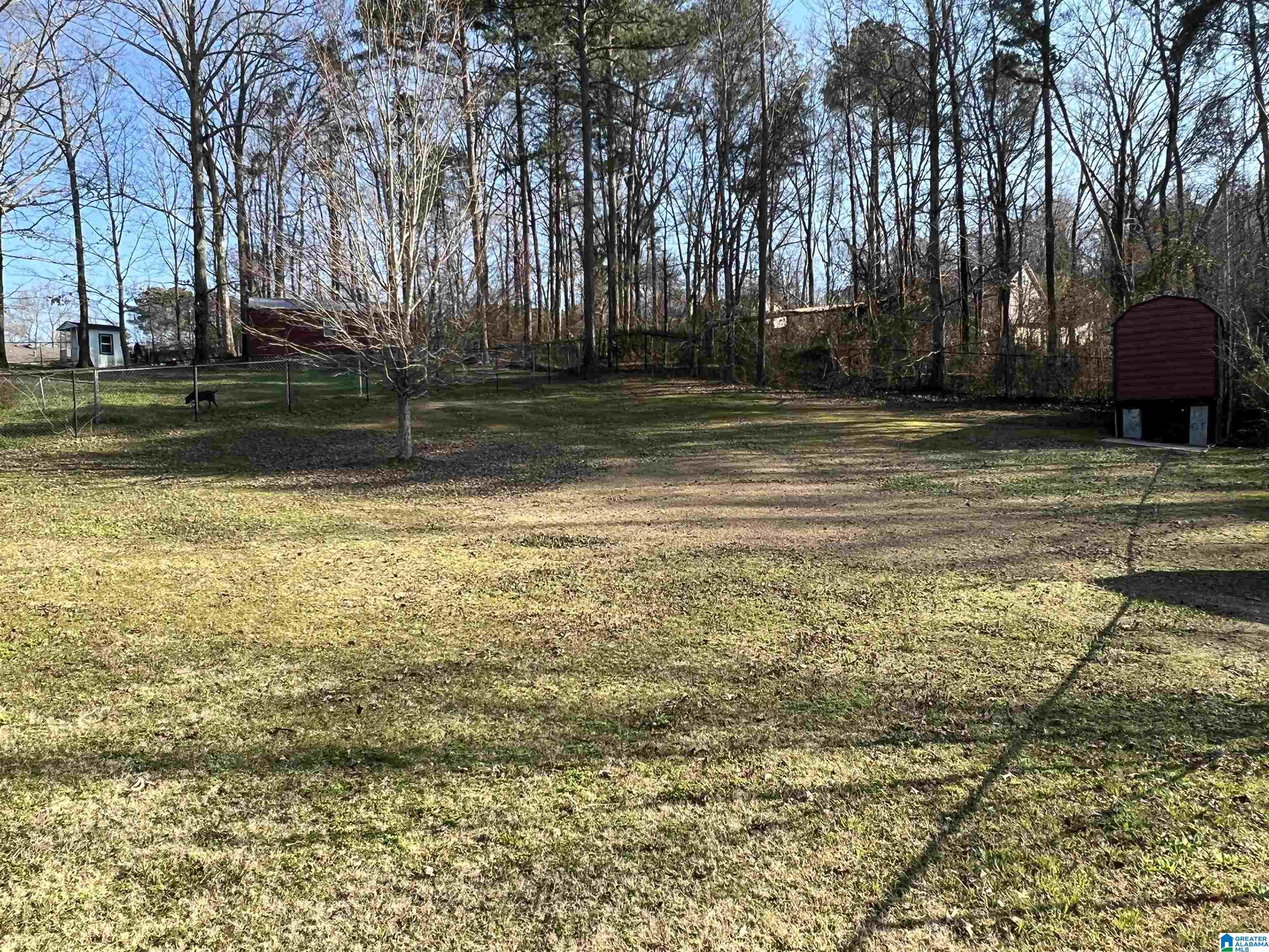 5669 Dug Hollow Road Pinson, AL 35126 - Photo 3 of 4