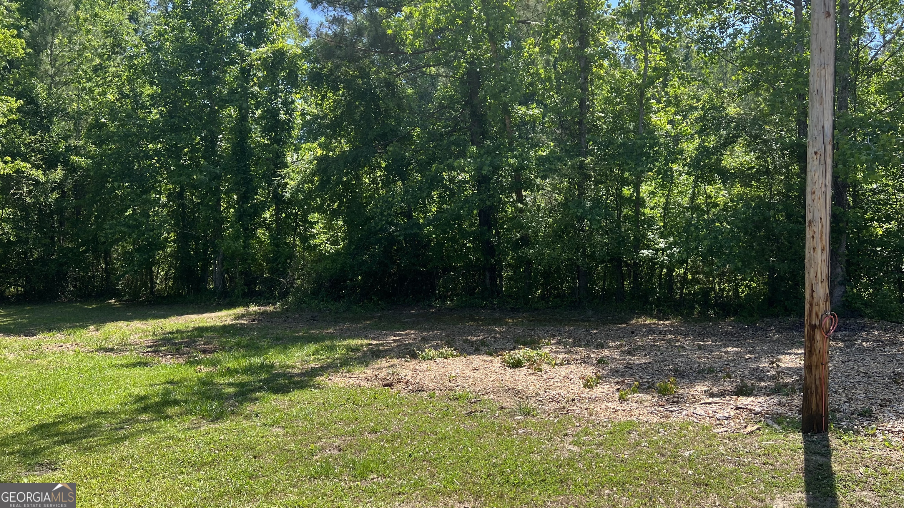 1065 Nathan Jones Road Harlem, GA 30814 - Photo 13 of 32 a view of a backyard with trees