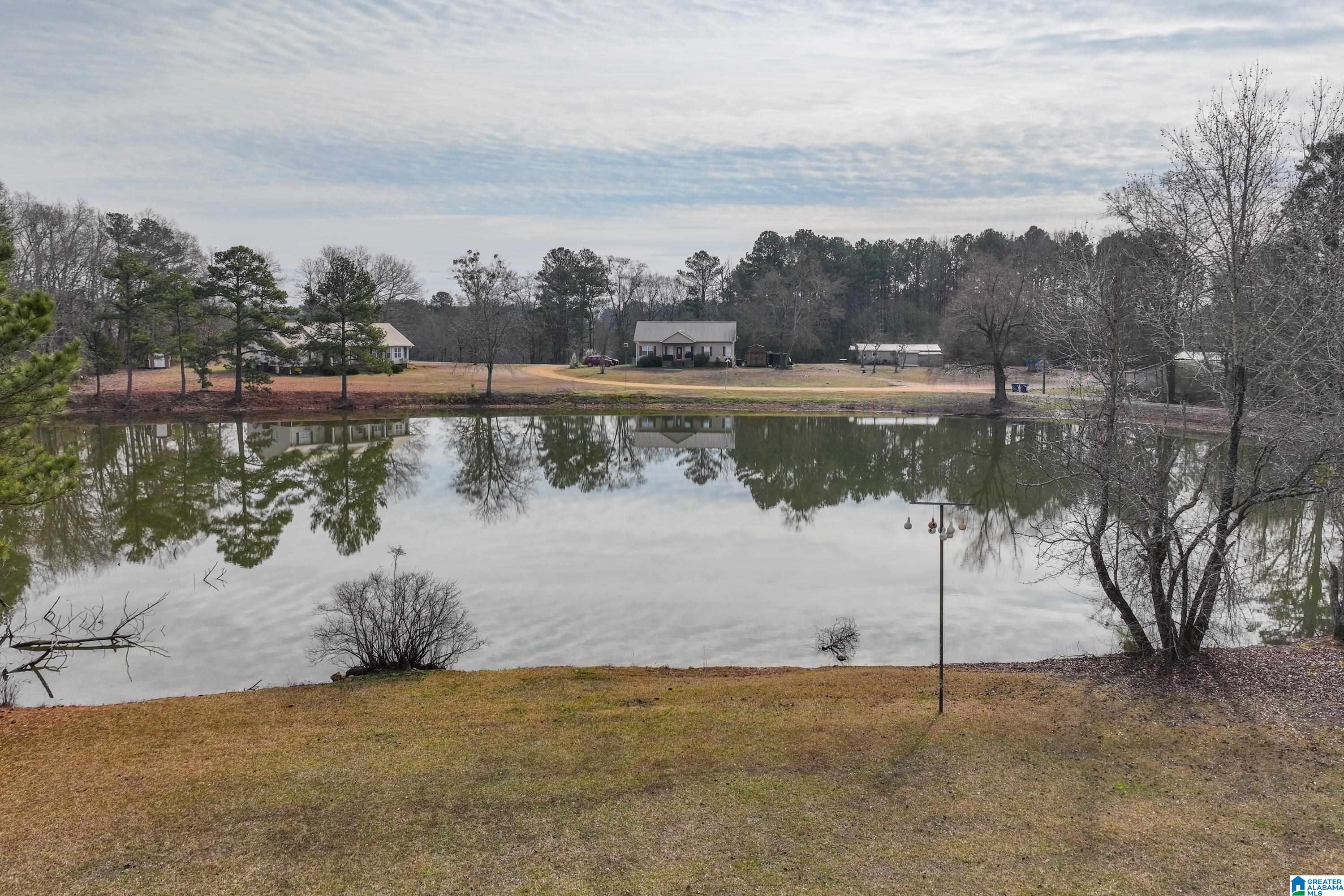230 Country Club Road Pell City, AL 35125 - Photo 59 of 61