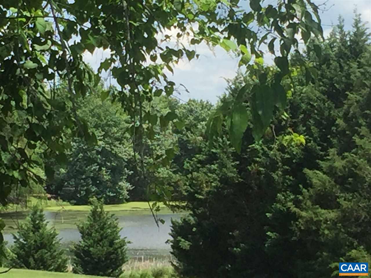 182 Stephens Loop Ruckersville, VA 22968 - Photo 2 of 14 a view of a lake from a yard