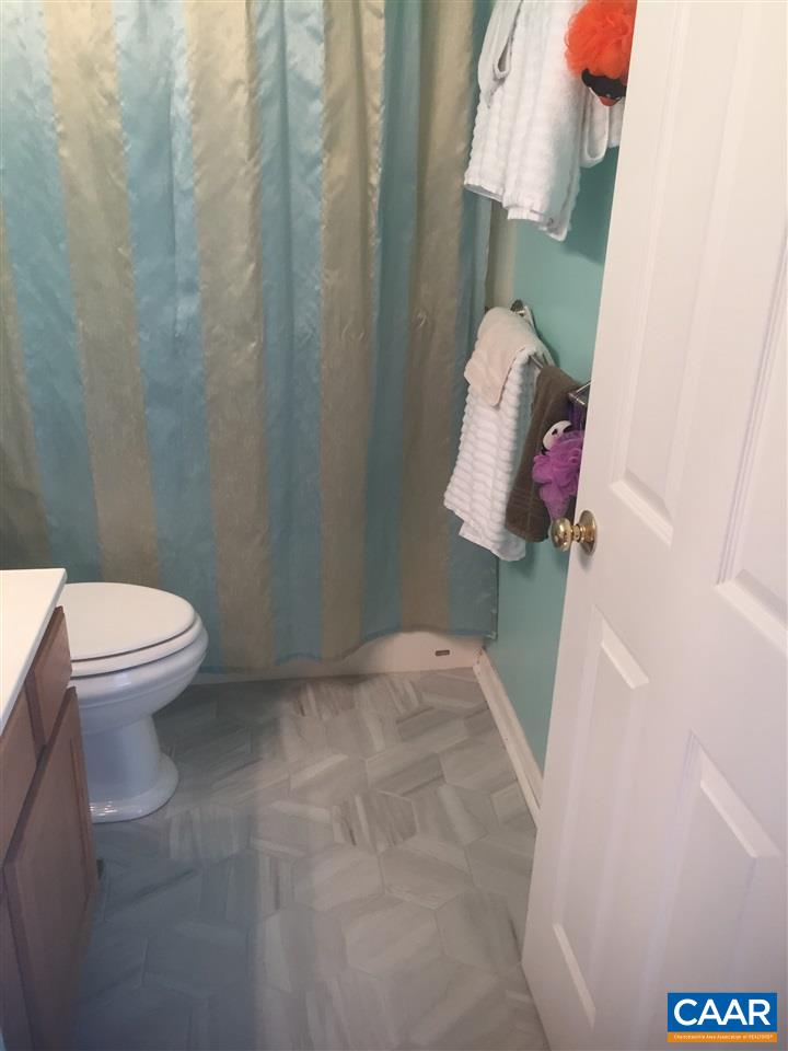 182 Stephens Loop Ruckersville, VA 22968 - Photo 10 of 14 a bathroom with a toilet and a shower curtain