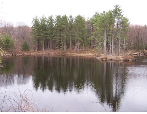 0 Flint Road Ashby, MA 01431 - Photo 1 of 1 a view of swimming pool with a yard