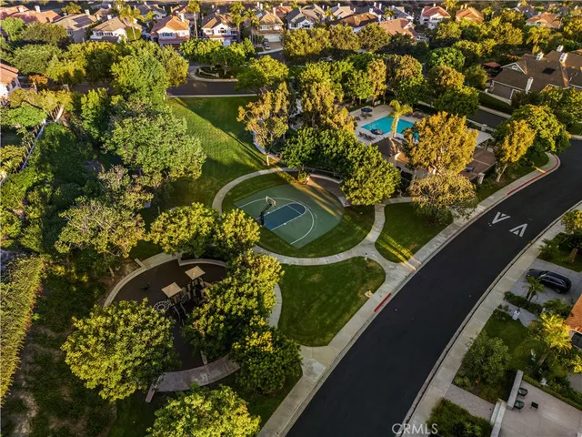 a view of a yard with plants