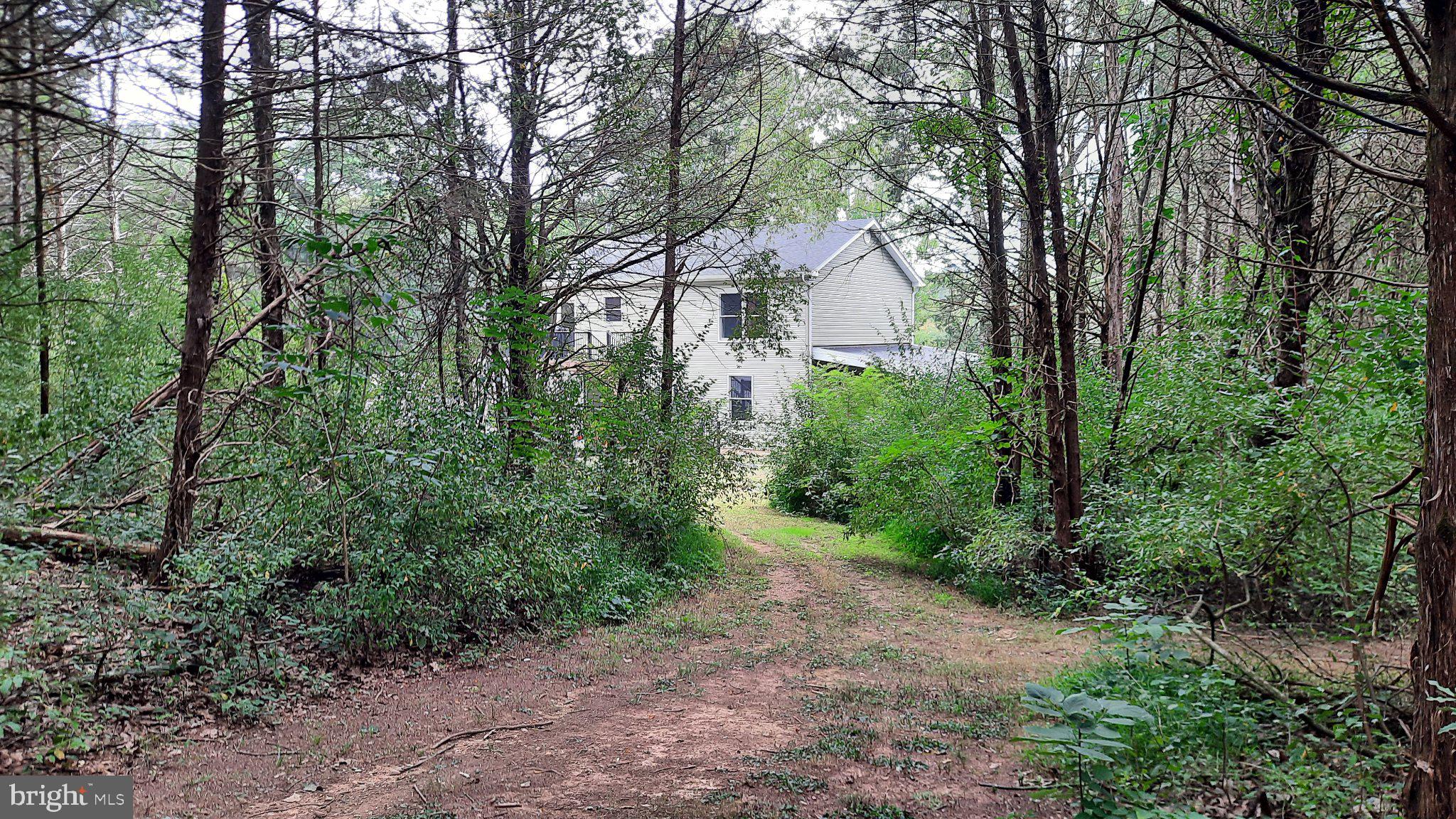 1272 Battlefield Road Strasburg, VA 22657 - Photo 28 of 49 Trailhead approach to the backyard.