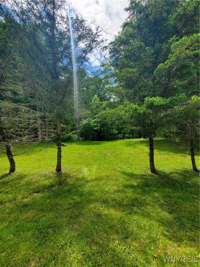 7200 Kent Road Little Valley, NY 14755 - Photo 36 of 43