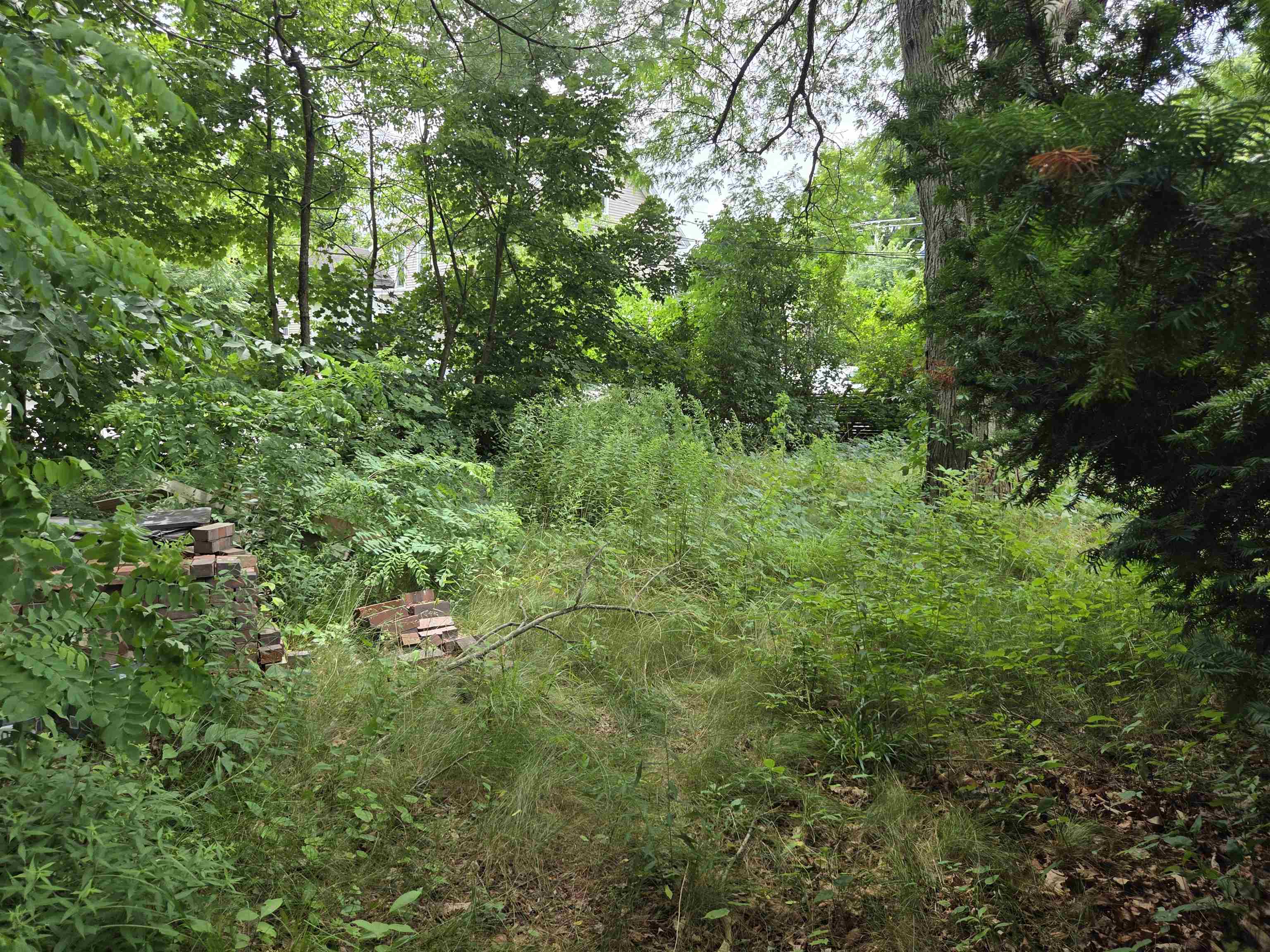 39 Penacook Street Concord, NH 03301 - Photo 6 of 36