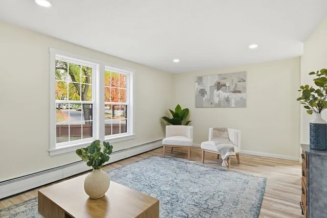 a living room with furniture and a potted plant