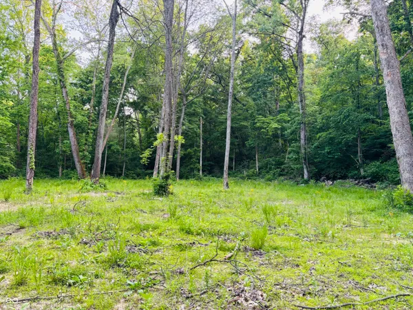 $107,000 | 0 Laurel Road, Laurel, IN 47024