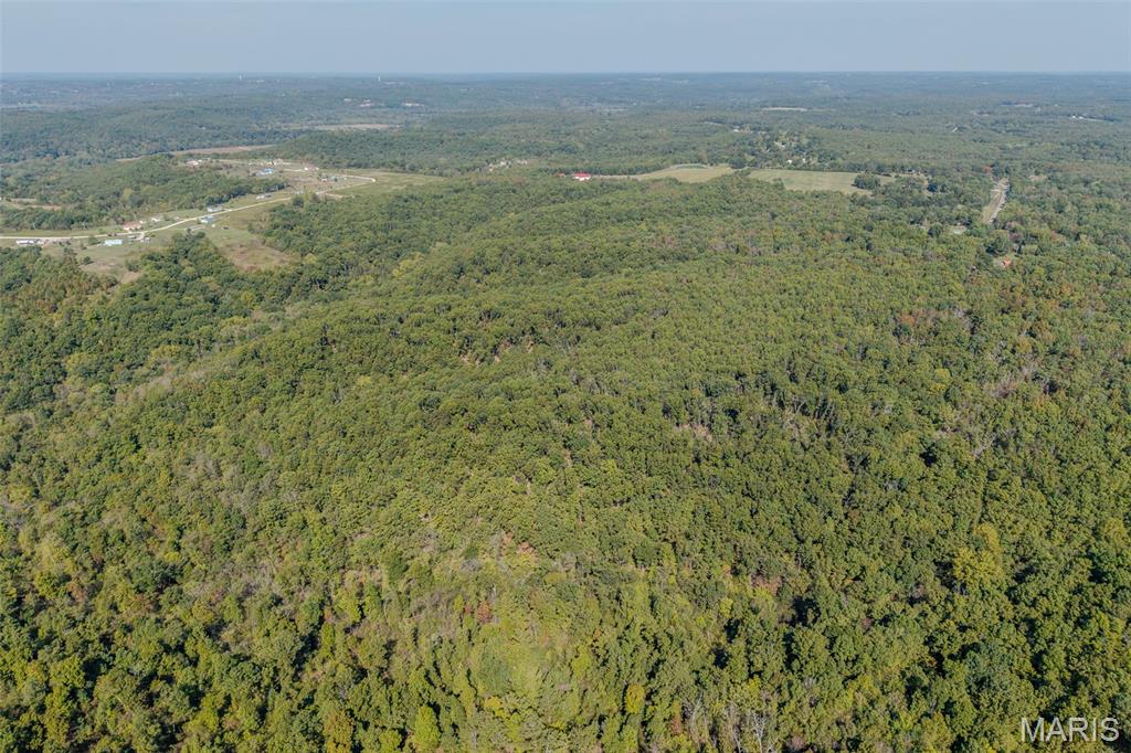 123 Rascal Drive Richland, MO 65556 - Photo 12 of 26