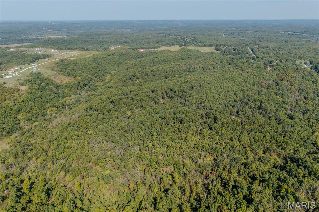 123 Rascal Drive Richland, MO 65556 - Photo 13 of 26