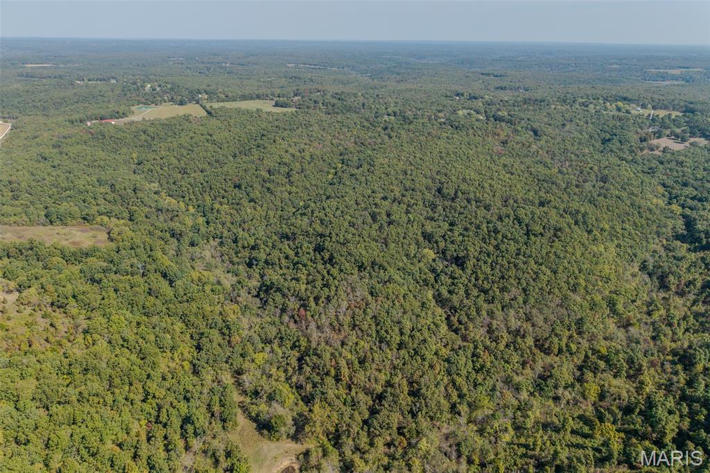 123 Rascal Drive Richland, MO 65556 - Photo 15 of 26