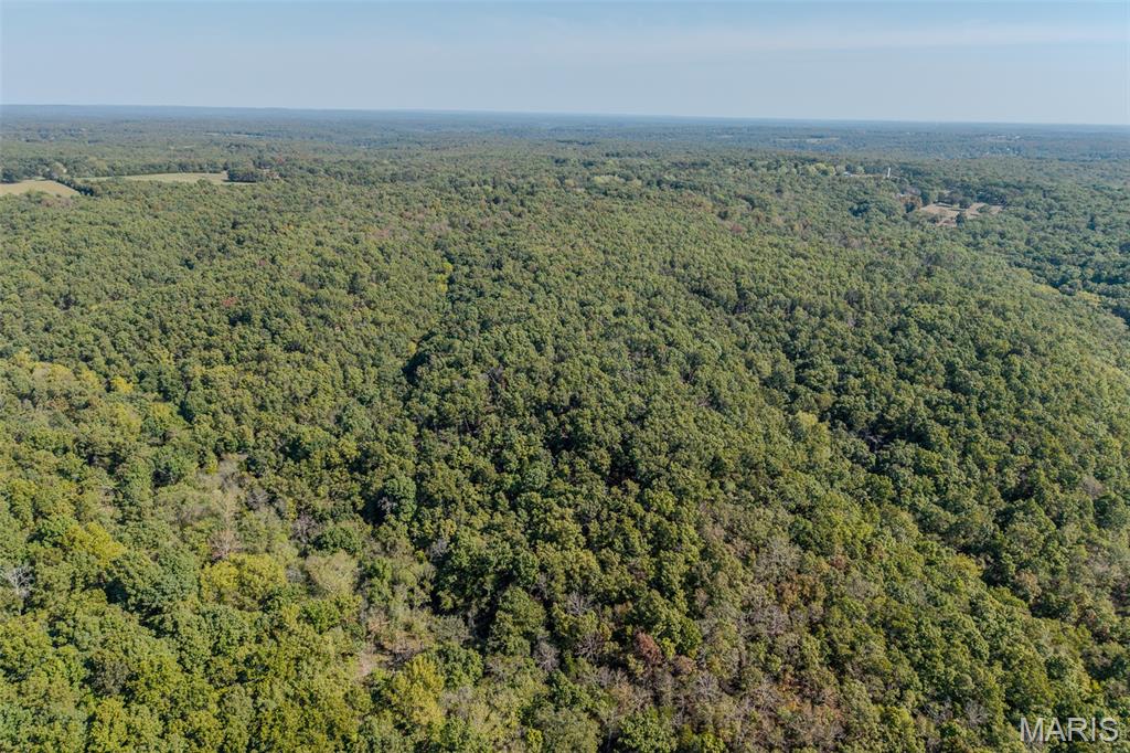 123 Rascal Drive Richland, MO 65556 - Photo 17 of 26