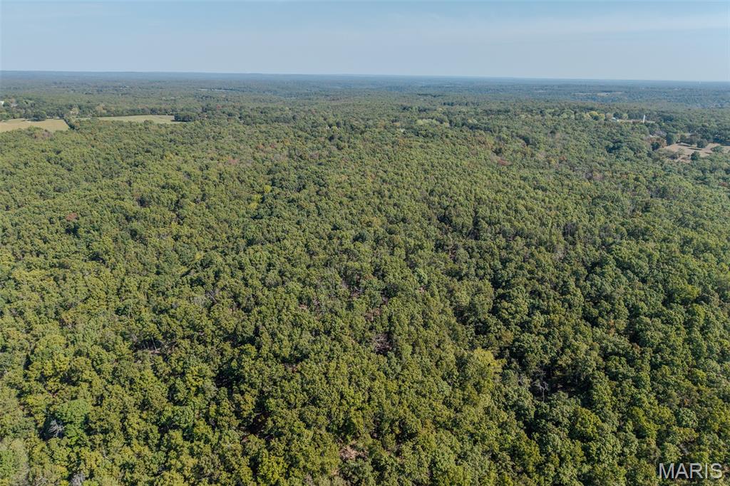 123 Rascal Drive Richland, MO 65556 - Photo 18 of 26