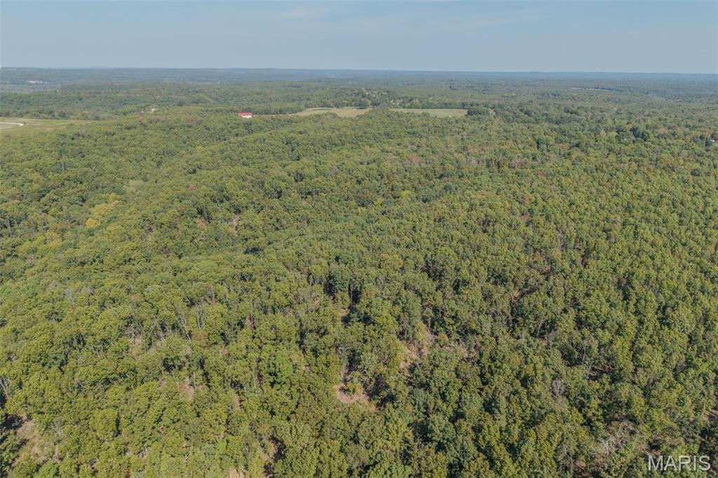 123 Rascal Drive Richland, MO 65556 - Photo 20 of 26