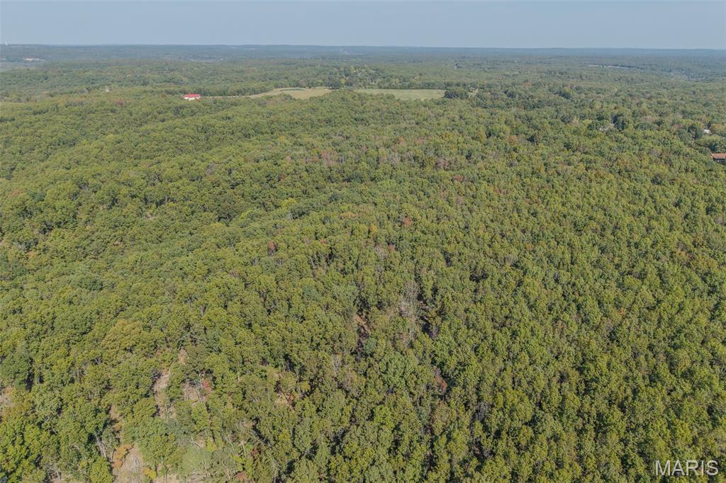 123 Rascal Drive Richland, MO 65556 - Photo 21 of 26