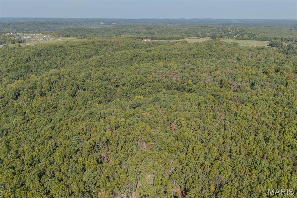 123 Rascal Drive Richland, MO 65556 - Photo 22 of 26