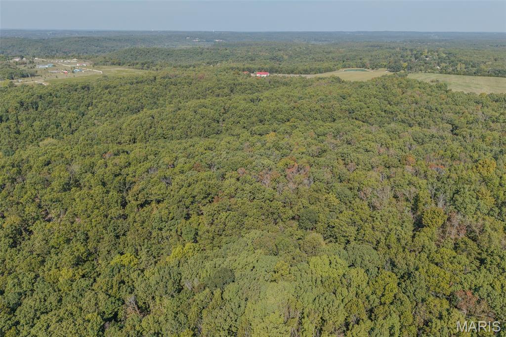 123 Rascal Drive Richland, MO 65556 - Photo 23 of 26