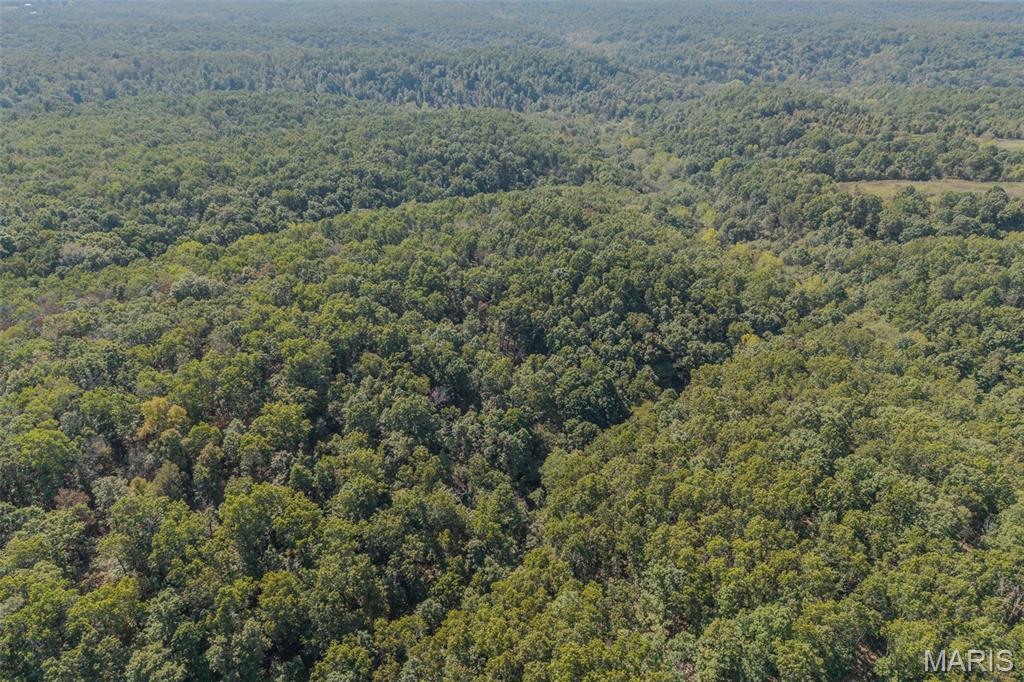 123 Rascal Drive Richland, MO 65556 - Photo 24 of 26