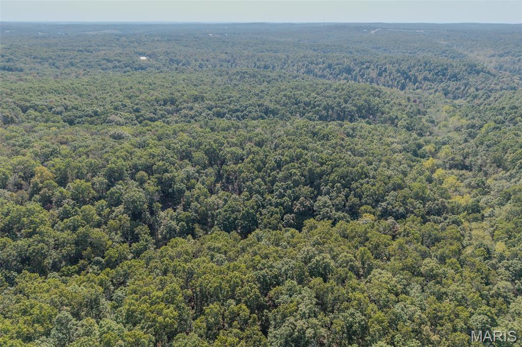 123 Rascal Drive Richland, MO 65556 - Photo 25 of 26