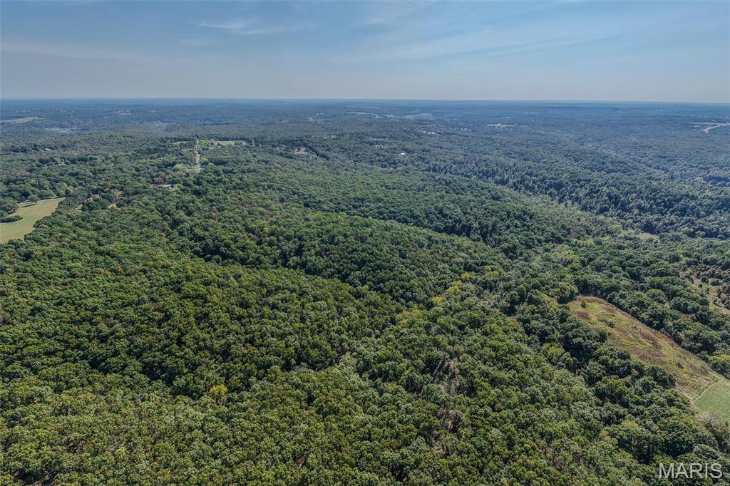 123 Rascal Drive Richland, MO 65556 - Photo 4 of 26