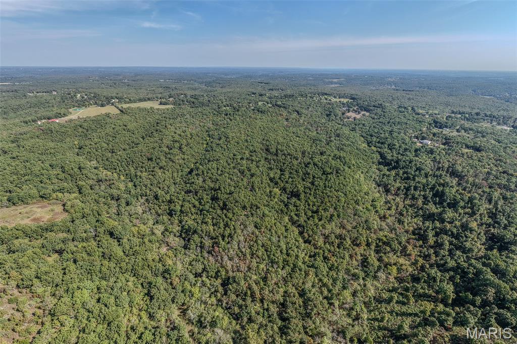 123 Rascal Drive Richland, MO 65556 - Photo 5 of 26