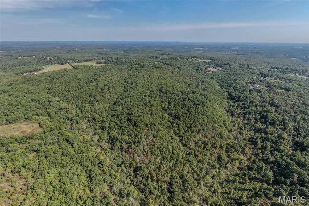 123 Rascal Drive Richland, MO 65556 - Photo 7 of 26