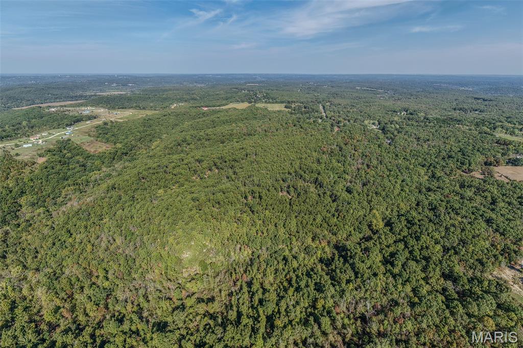 123 Rascal Drive Richland, MO 65556 - Photo 8 of 26