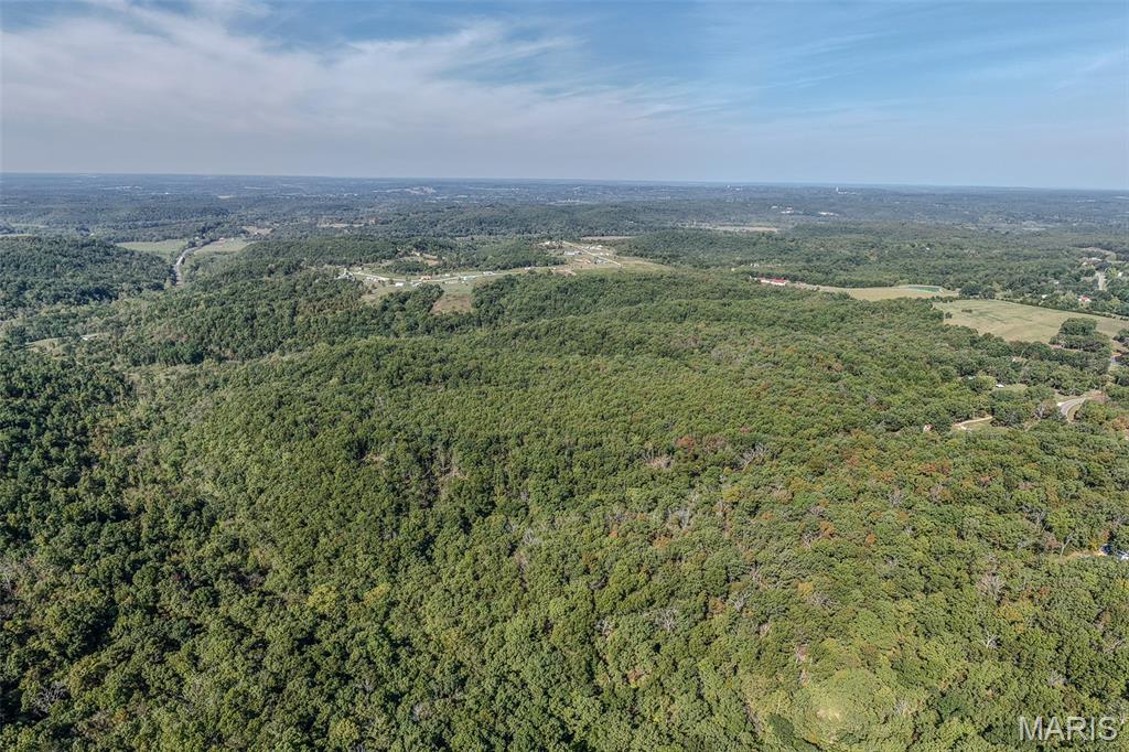 123 Rascal Drive Richland, MO 65556 - Photo 9 of 26