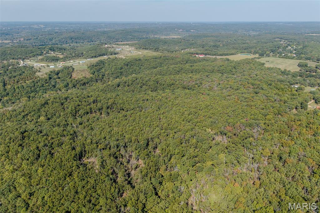 123 Rascal Drive Richland, MO 65556 - Photo 10 of 26