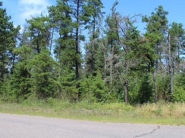 10238 Gentle Ben Road Tomahawk, WI 54487 - Photo 4 of 6 Gallery Image 4