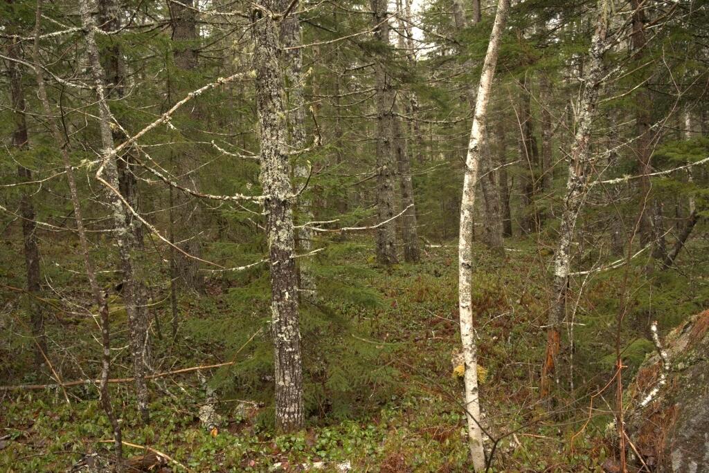 07-Photo 7