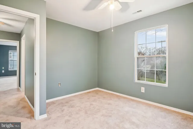 a view of a backyard with plants and a large tree
