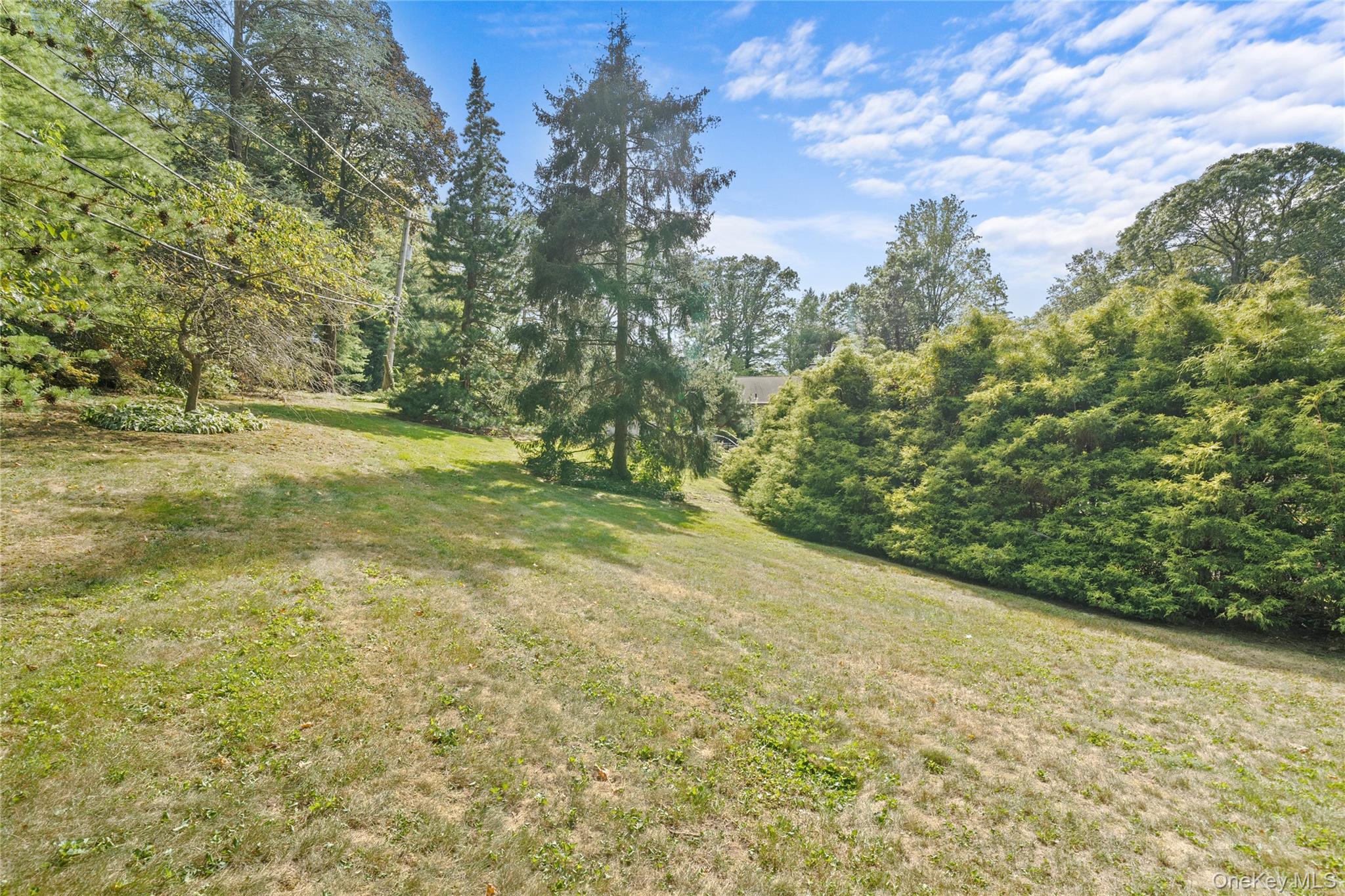 55 Rolling Hill Lane Old Westbury, NY 11568 - Photo 40 of 48 View of grassy yard