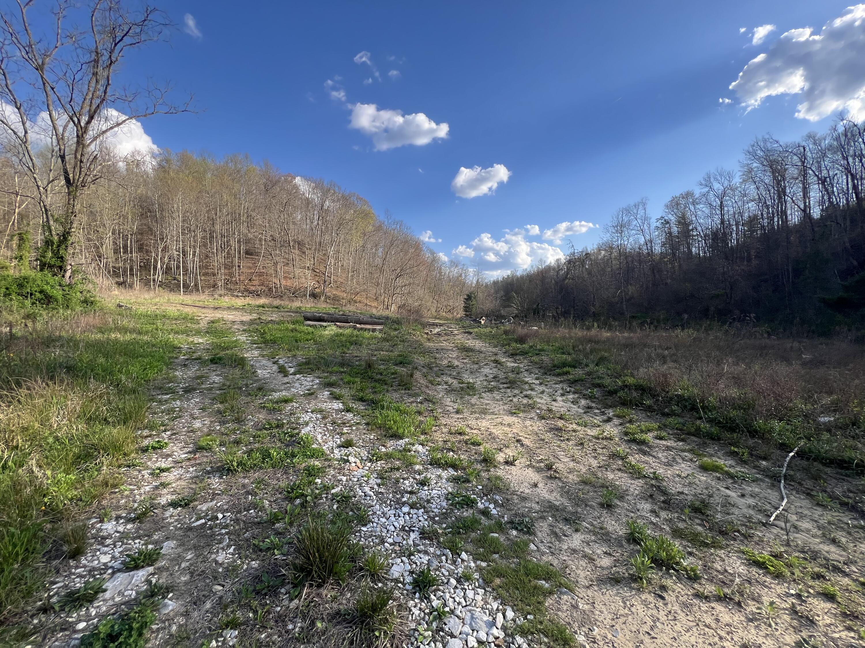 2000 Tbd Stamper Branch Campton, KY 41301 - Photo 14 of 47 Photo Apr 15, 6 13 20 PM
