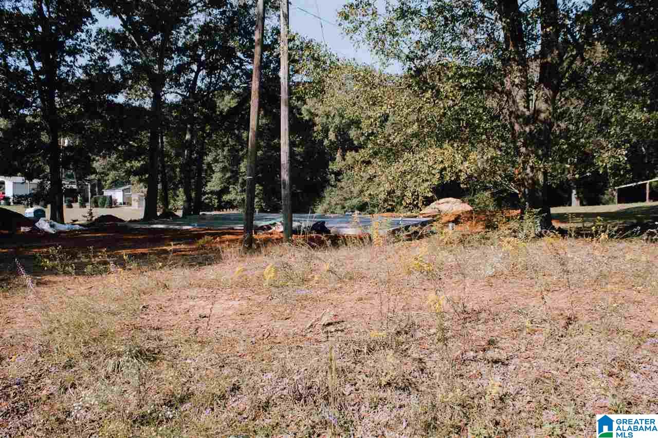 764 Mahaffey Road Eastaboga, AL 36260 - Photo 3 of 4